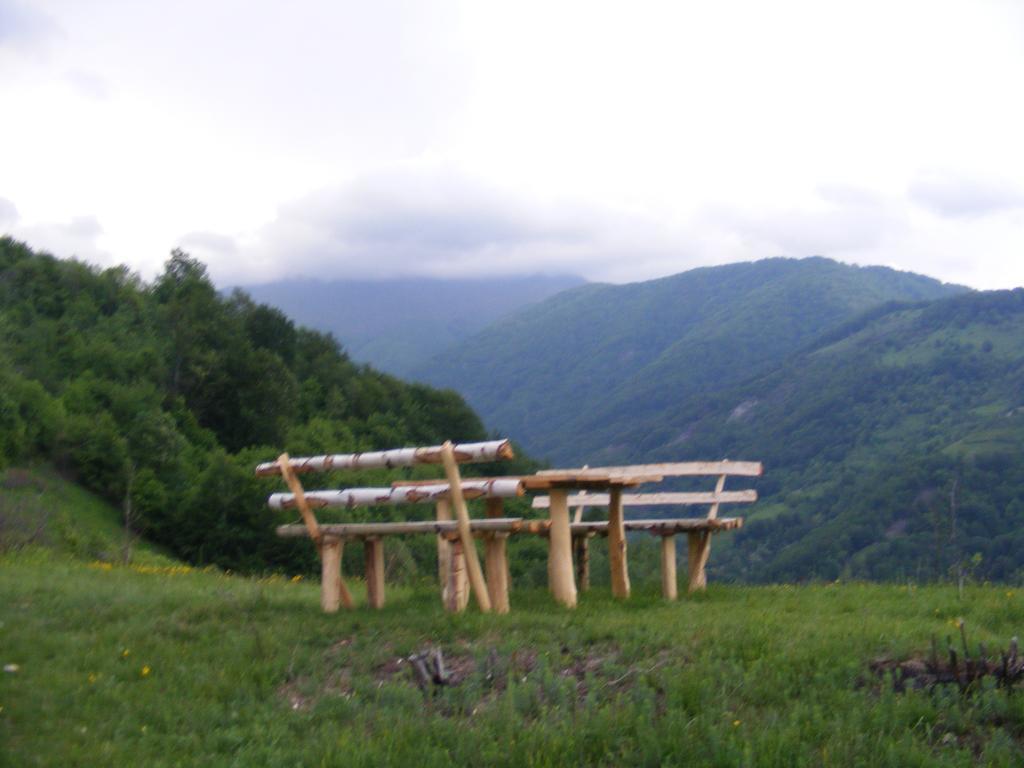 Hotel Domogled Băile Herculane Eksteriør bilde